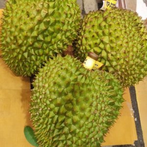 5/6 TP金枕 $926/件-5件起（可批發)